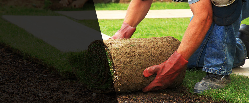 Lucerne Valley Landscapers